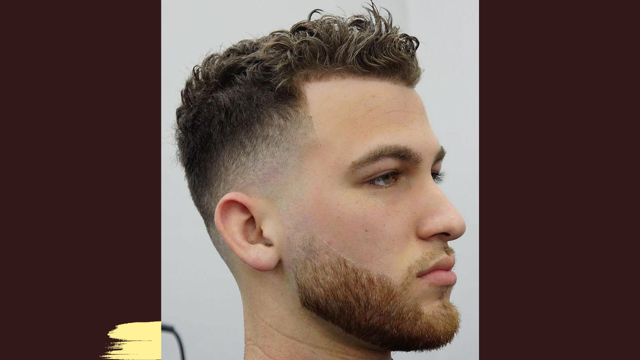 Curly Hair Fade Haircuts