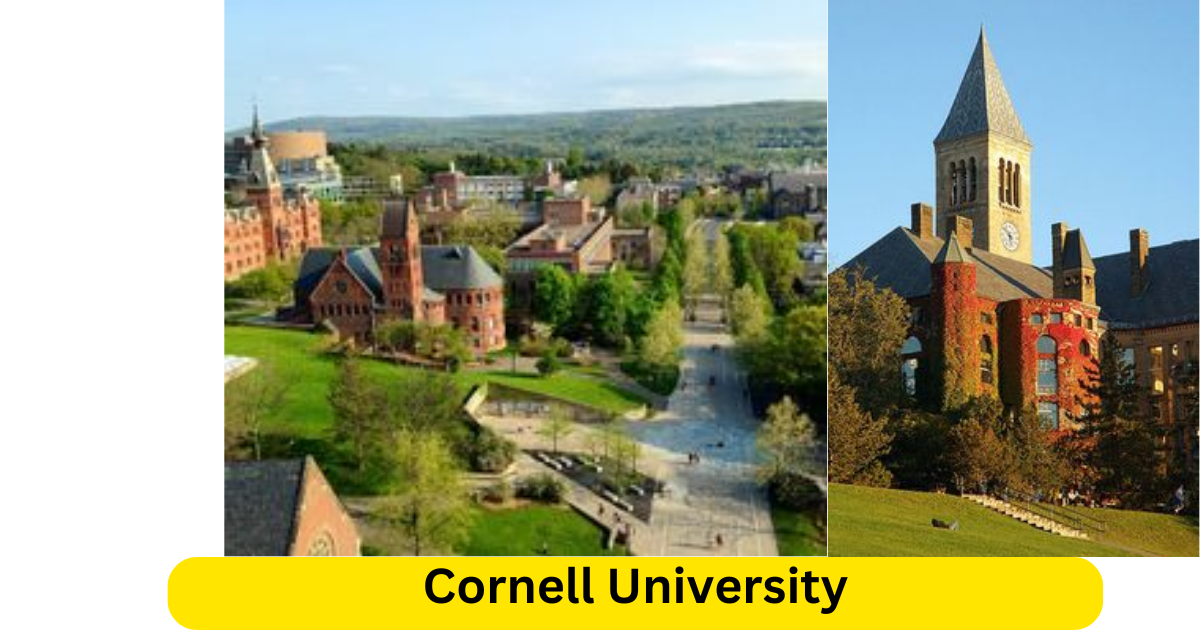 Cornell University