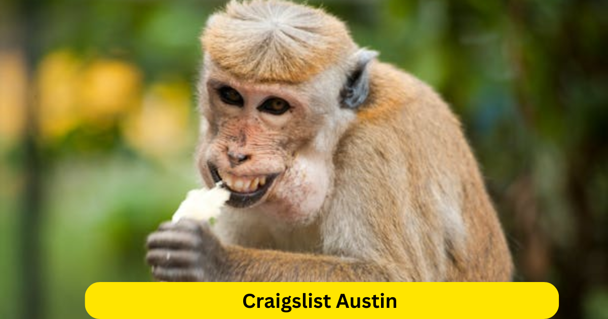 Craigslist Austin