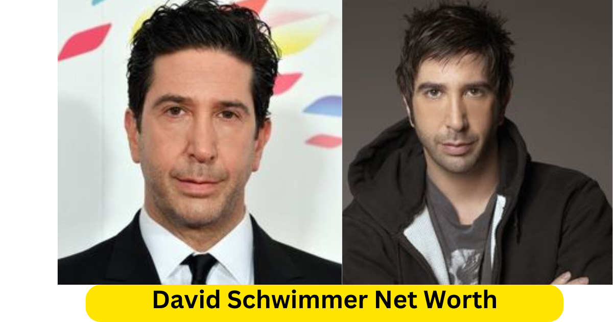 David Schwimmer Net Worth: A Comprehensive Analysis