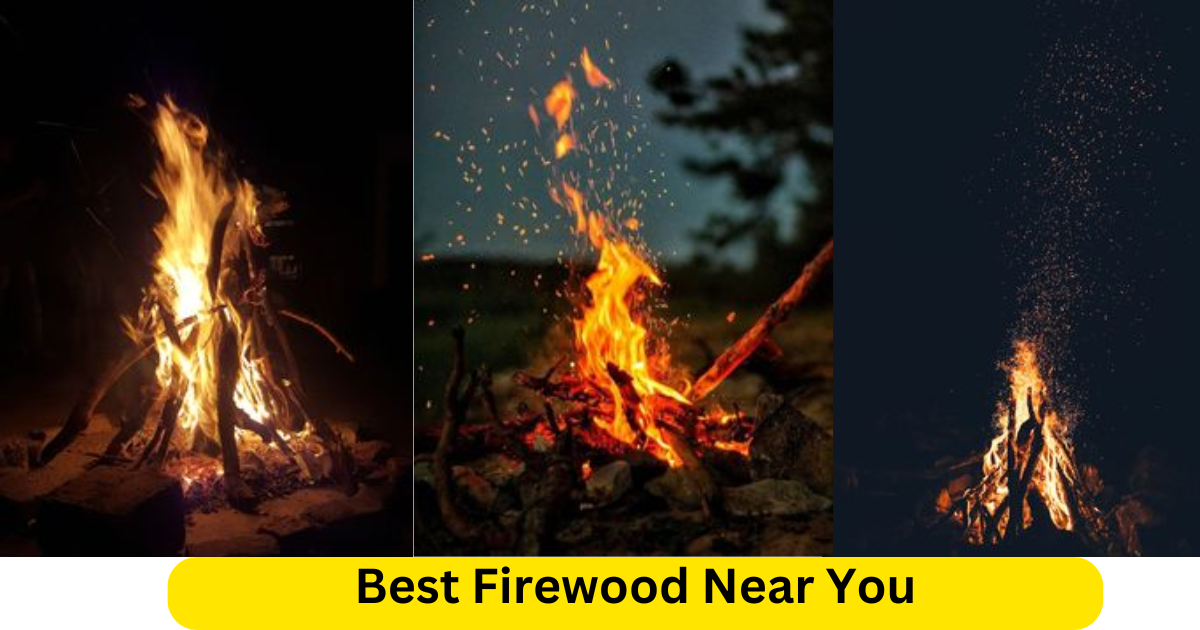 Best Firewood Near You