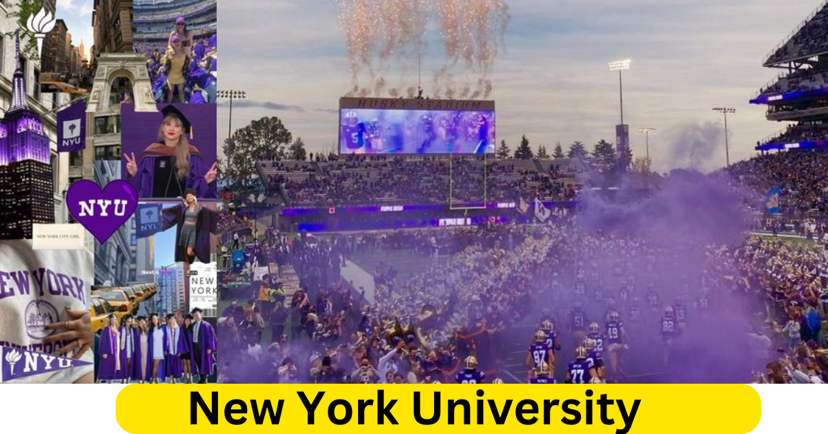 New York University A Beacon of Innovation and Excellence