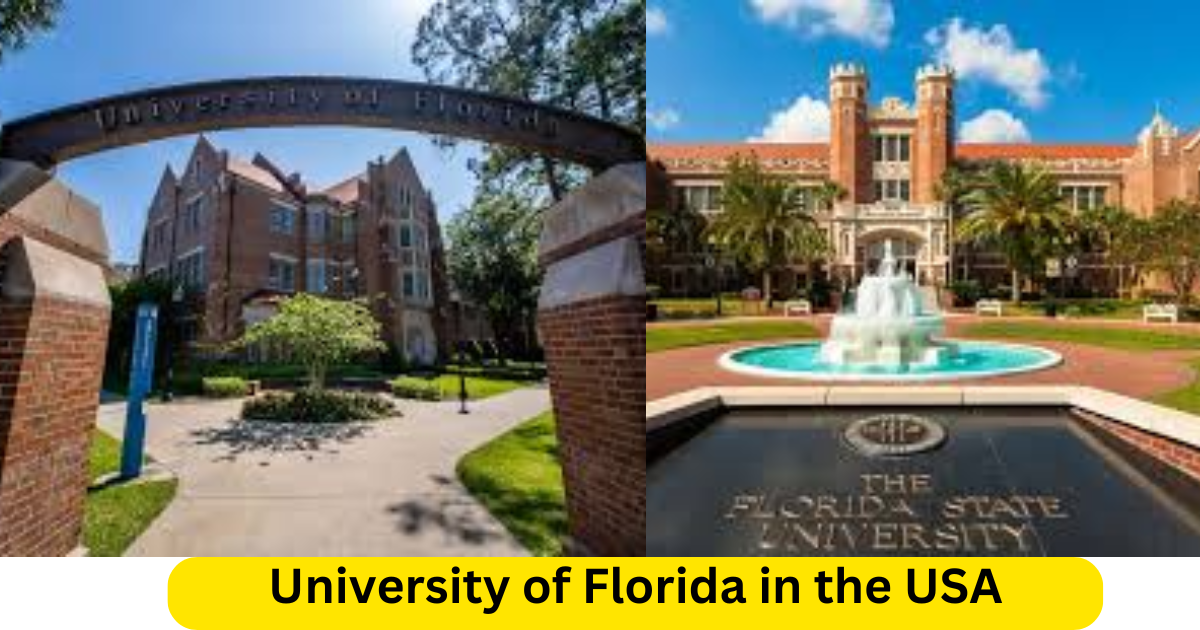 University of Florida in the USA