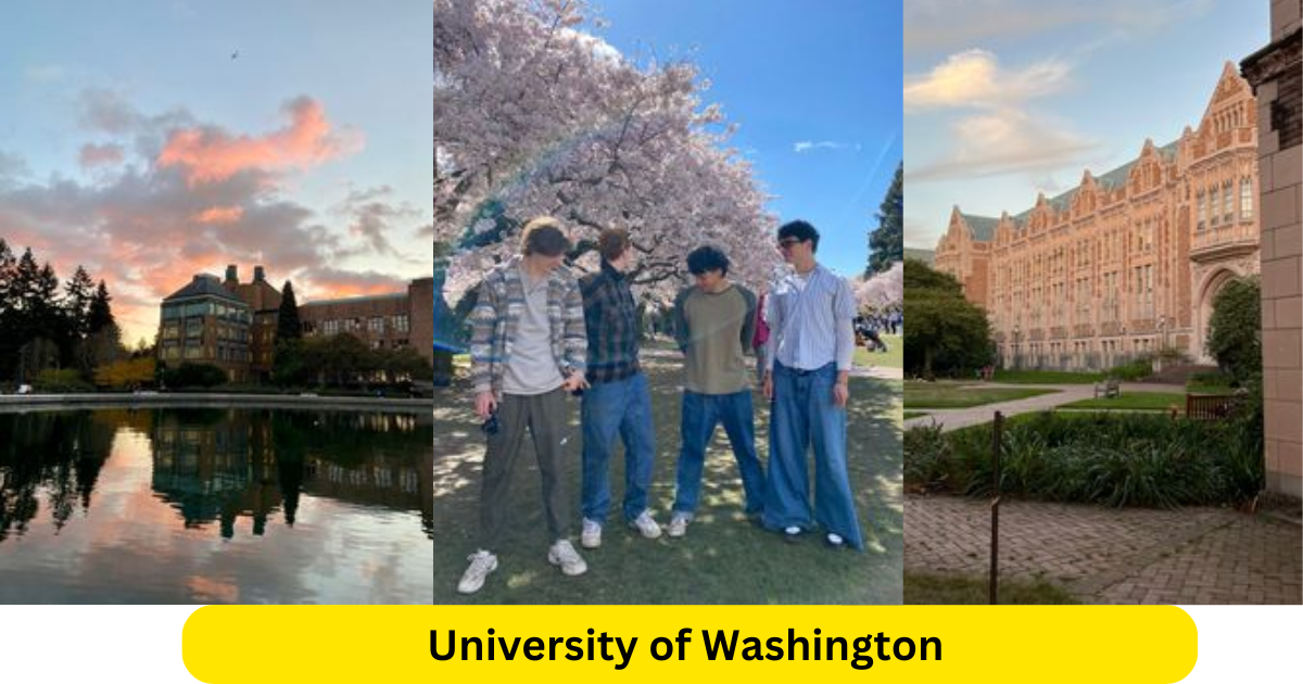 University of Washington | A Leader in Education and Research